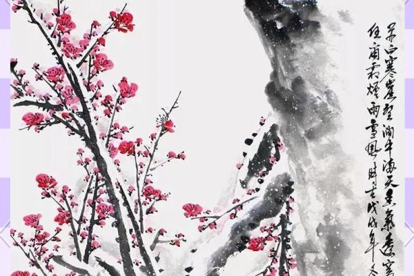 关于梅花的寓意和象征风水