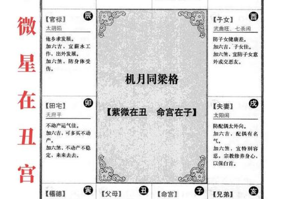 莫西老师紫薇斗数