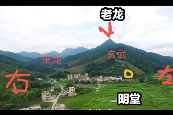 王健林祖坟风水图解