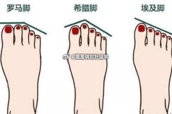 女人脚纹算命图解,脚丑的女人的命运