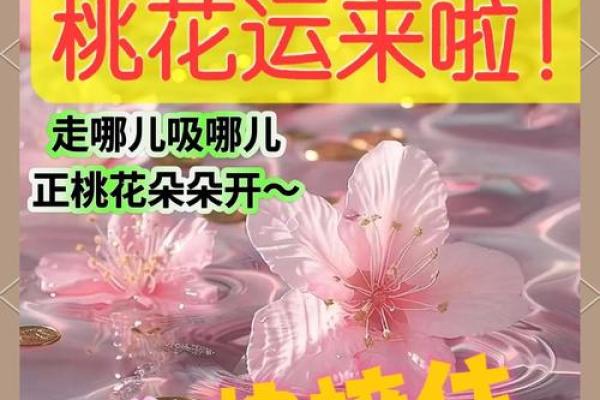 爱情风水:民间招桃花运的办法 爱情风水:民间招桃花运的办法