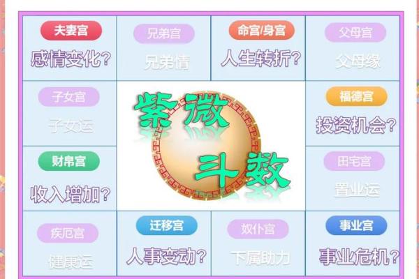 紫薇斗数大子女