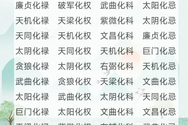 紫薇斗数冲破天罗地网