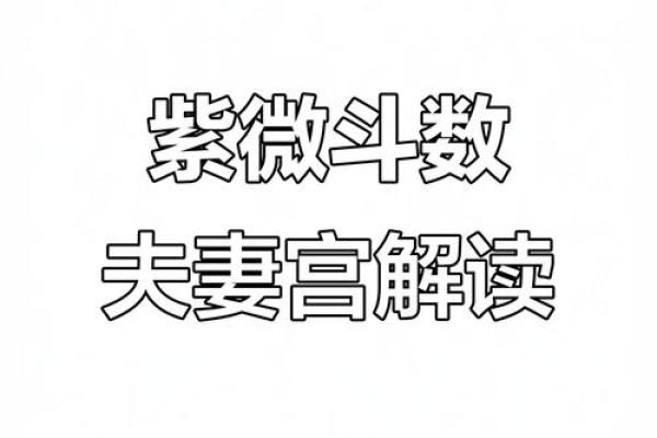 紫薇斗数夫妻宫凤阁