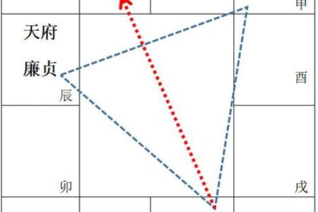 紫微斗数之交友宫与诸星，天府星在交友宫是什么意思？