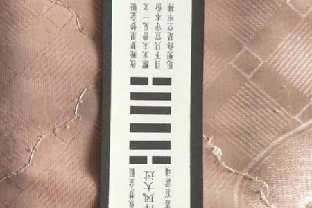 抽签算命老鼠掉水桶里