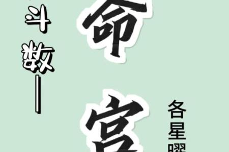 紫薇斗数命宫天梁