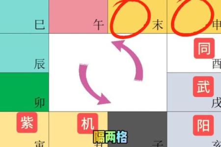 什么叫紫薇斗数限流盘