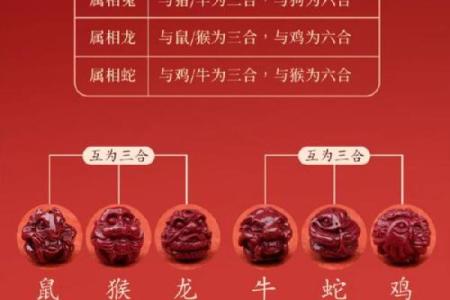 风水知识一点通！躲星与犯太岁的区别