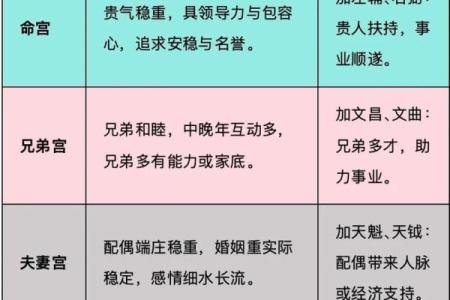 道传紫薇斗数