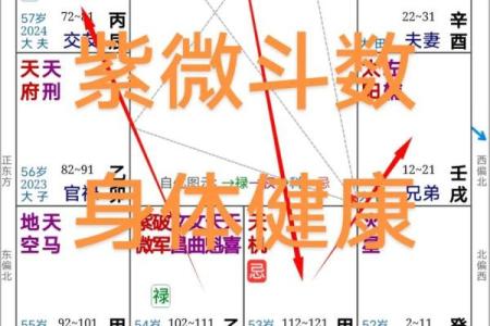紫微斗数化科入疾厄宫