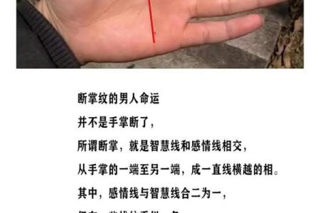 男士手相算命