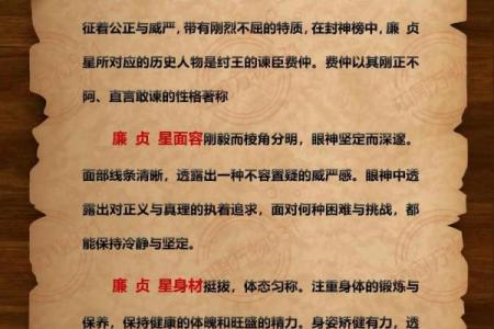 廉贞星坐守官禄宫紫微斗数大成