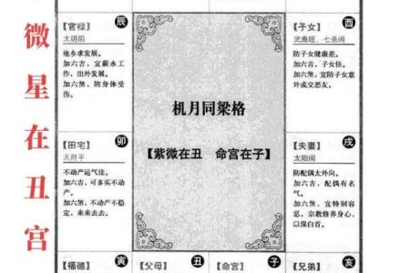 莫西老师紫薇斗数