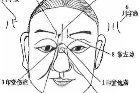 八字前世