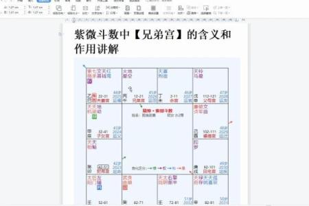 紫薇斗数中的加什么意思