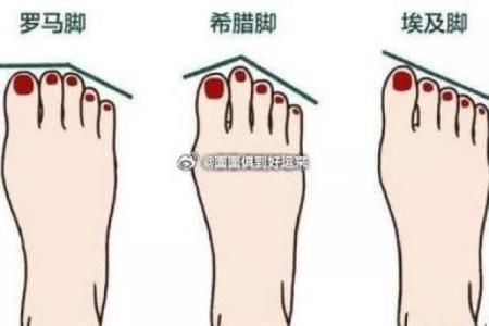 女人脚纹算命图解,脚丑的女人的命运