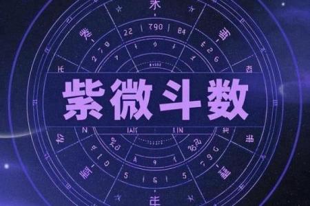 紫薇斗数中的紫微星