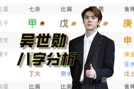 当明星的八字