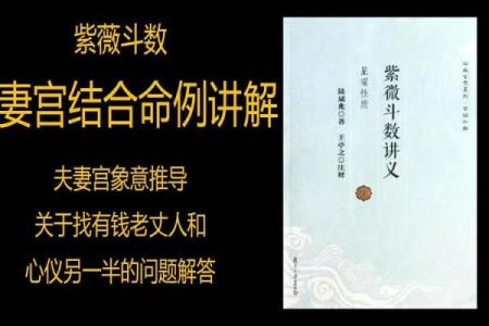紫薇斗数夫妻宫凤阁