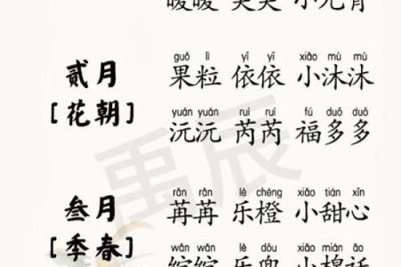 马年宝宝起名测试