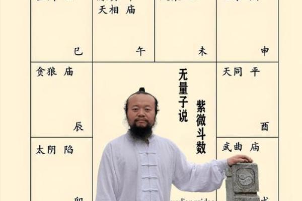 紫微斗数案例18健康：大运迁移宫多忌，哪些宫位会冲命宫？