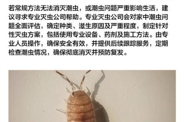 家里风水_家里突然出现多个潮虫是什么征兆