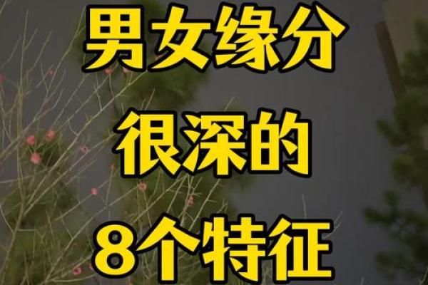男女间缘份风水包含的10条秘密