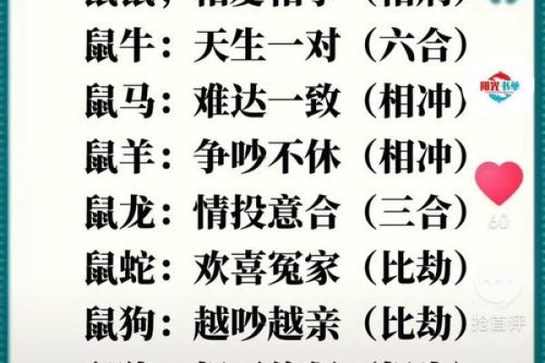免费算命网姓名配对,姓名配对缘分测试98%