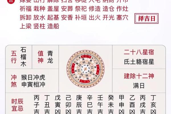 生肖算命软件
