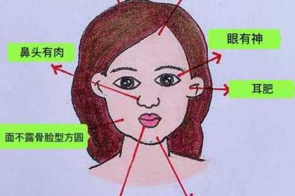 不想算命的女人