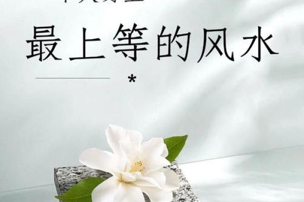 这种风水好，能造福后代易出贵人！