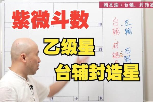 封诰紫薇斗数