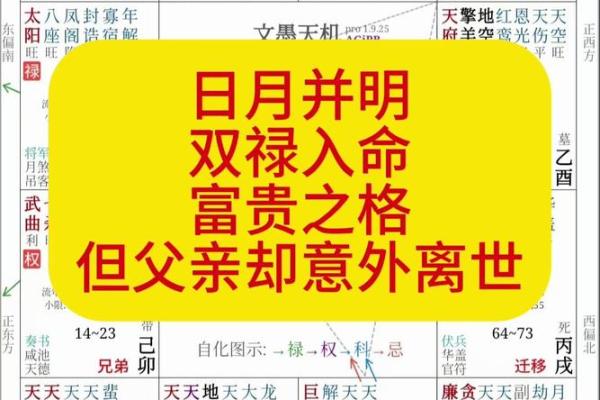 紫薇斗数禄出