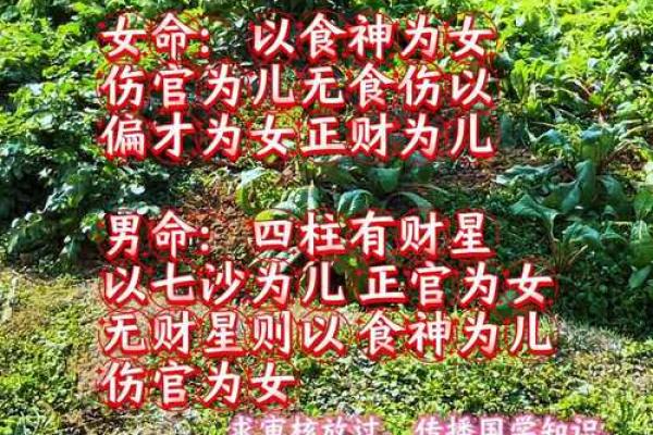 真的有童子命之说吗 算命的说我是童子命