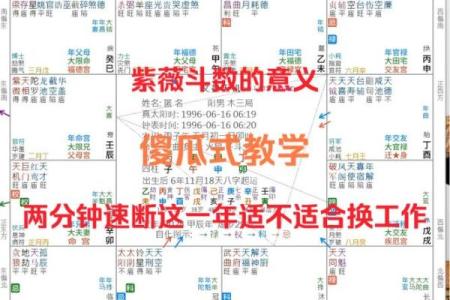 为什么大陆没有紫微斗数 为什么没有紫薇大帝庙？