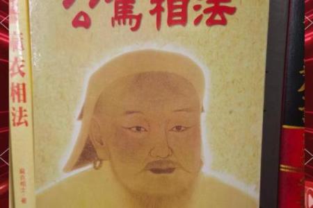 陈彦廷紫薇斗数书