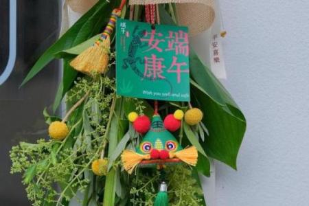 风水习俗端午挂艾草是单还是双解答