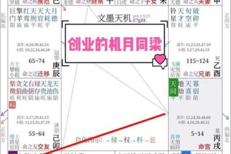 紫微斗数看老公：好男人类型，大男人类型，火爆浪子类型，不负责任类型，桃花多多类型