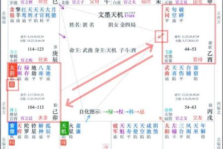 紫微斗数案例18健康：大运迁移宫多忌，哪些宫位会冲命宫？