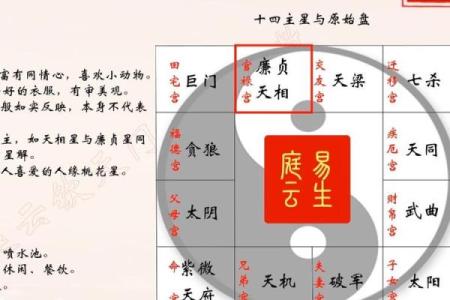紫微斗数－天相星
