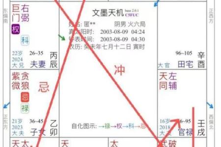 紫薇斗数断事业方向