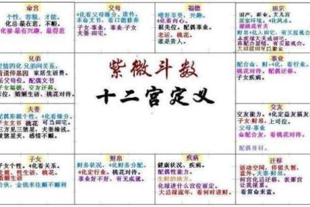 元享紫薇斗数