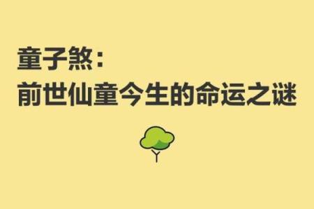 算命说是童子