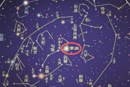 紫薇星君转世动画