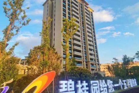碧桂园风水大师