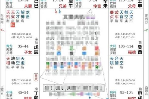 紫薇斗数父母宫看配偶家境