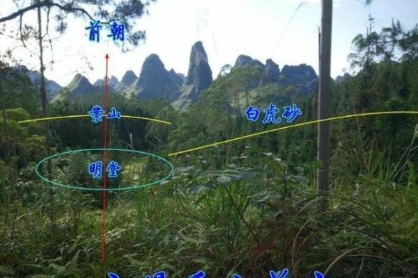 定穴星峰在风水上有什么含义