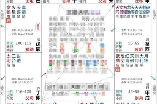 张盛舒免费测算紫微斗数 紫微科技斗数张盛舒？