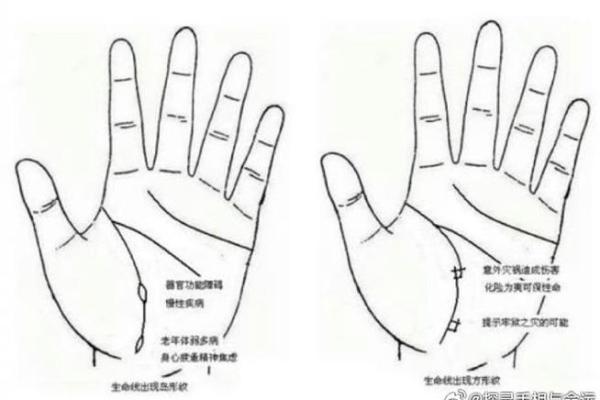 看手相算命生命线 手相图解生命线怎么看